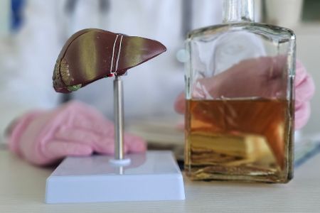Leber und Alkohol
