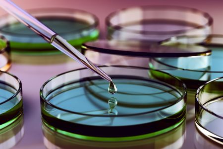 Pipette füllt Flüssigkeit in Petrischalen