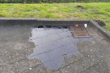 Betroffener Gully mit Verschmutzung