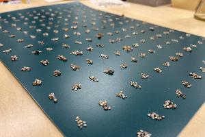 Foto: Rohdiamanten werden gezählt.
Quelle: ZFA Frankfurt am Main