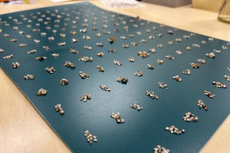 Foto: Rohdiamanten werden gezählt.
Quelle: ZFA Frankfurt am Main