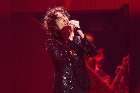 Von TikTok in die Charts: Die Social-Media-Hits 2025