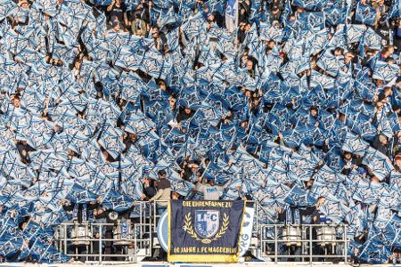 Alles weiß und blau. Fans vom 1. FC Magdeburg feuern ihr Team mit Fahnen beim Spiel gegen Holstein Kiel an.