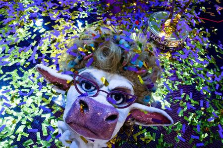 Die Maske der Figur "Muuhnika" liegt im Finale der Prosieben-Show "The Masked Singer" auf der Bühne.