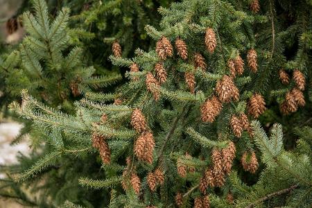Ein Beruf für furchtlose Kraxler