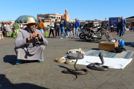 Umstritten: Schlangenbeschwörer