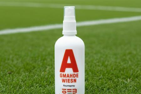 Ösi-Kuriosum: WM-Quali-Rasen als Raumduft