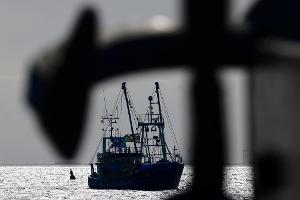 Fischer warten jährlich auf die EU-Entscheidungen zu erlaubten Fangmengen. (Symbolbild) 