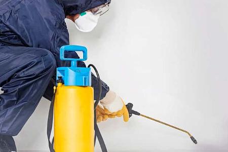 Ungeziefer im Wohnwagen