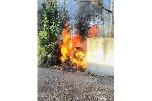 Bild zur freien Verfügung.