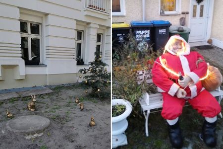 Weihnachtsdeko in zwei Vorgärten