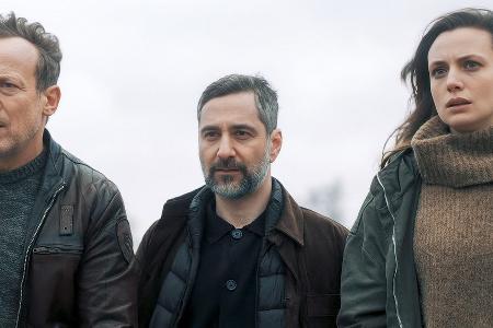 Falke in den Niederlanden: Lohnt sich die 