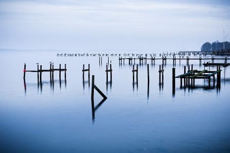Wasserlandschaft: Pfähle einer abgebauten Steganlage ragen aus dem Steinhuder Meer.
