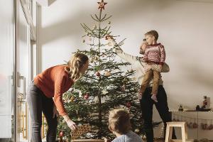 Oh Tannenbaum: So bleibt der Weihnachtsbaum lange grün und frisch