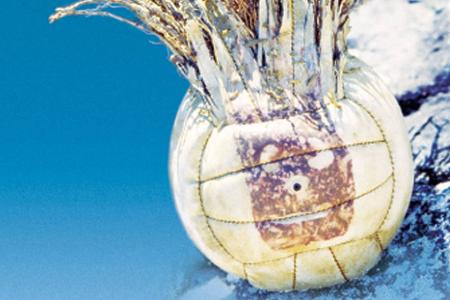 Cast Away - Verschollen (2000)