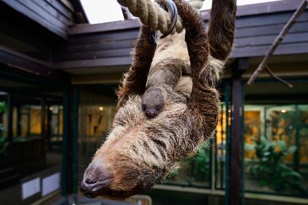Auch damals hatte zuvor niemand die Schwangerschaft bemerkt.