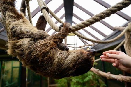 Die Mama nimmt das Ganze gelassen.