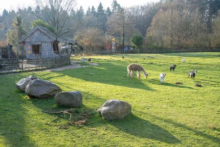 Nach Auffassung des Landgerichts Stralsund hat der Vogelpark Marlow seine Pflichten erfüllt. (Archivbild)