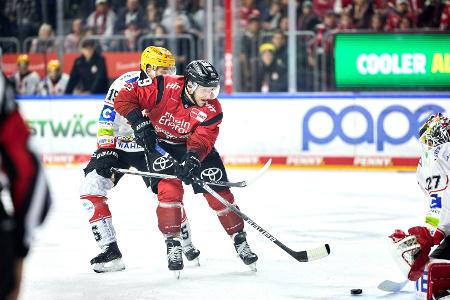 Adler gehen gegen Ingolstadt unter - Pietta mit Rekord