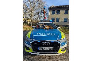 Dschungelbuch Ruchheim