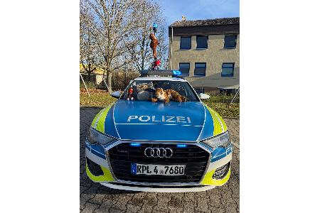 Dschungelbuch Ruchheim