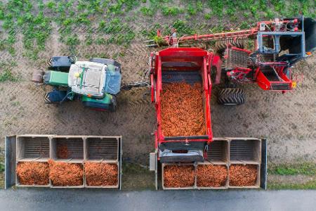 Der Öko-Anteil an der Agrarfläche wächst nur sehr langsam. (Archivbild)