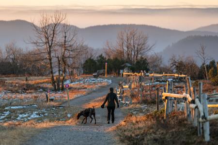 Winter im Schwarzwald