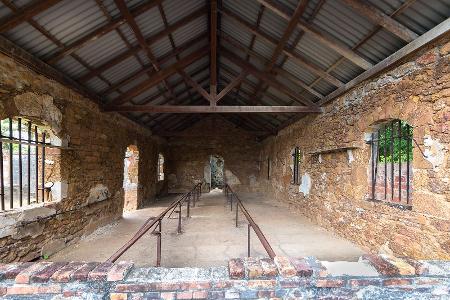 Haie und tropische Krankheiten