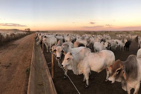 Klima- und Tierschutzgründe