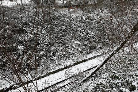 Ast im Gleisbett. Die beigefügten Fotos dürfen nur in Zusammenhang mit dem unmittelbaren Einsatzereignis verwendet werden. Für andere Berichterstattungen ist die Zustimmung der Pressestelle FFH einzuholen.