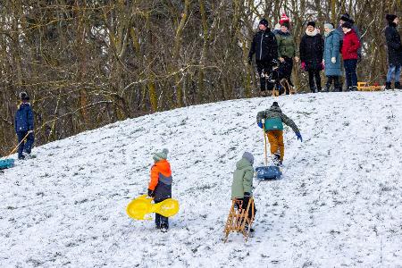 Viele Kinder vergnügten sich mit ihren Eltern beim Rodeln.