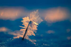Eisige Temperaturen können für Menschen ohne Wohnung lebensgefährlich sein. 