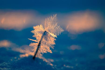 Eisige Temperaturen können für Menschen ohne Wohnung lebensgefährlich sein. 