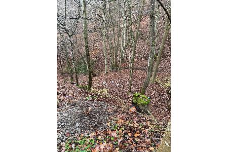 Lichtbild der Abfallablagerung in Kollig