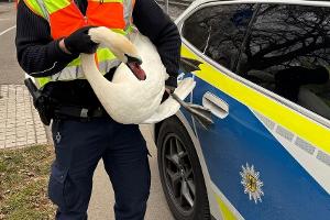 Symbolfoto - Freigabe unter der Quelle "Bundespolizei" für redaktionelle Zwecke