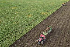 Die Preise für viele Agrarprodukte sind derzeit unter Druck. (Archivbild) 