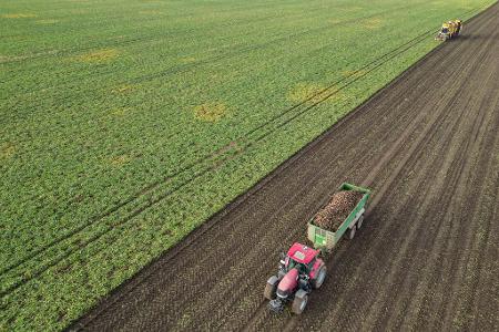 Die Preise für viele Agrarprodukte sind derzeit unter Druck. (Archivbild) 