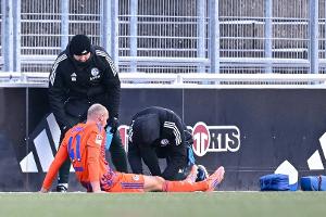 Schalkes Matriciani erleidet Kreuzbandriss