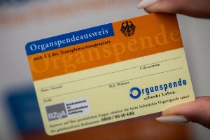 Ein Organspende-Ausweis dokumentiert die Entscheidung. (Archivbild)