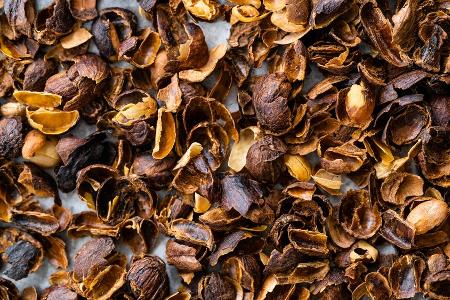 Cascara: Das steckt hinter dem Trendgetränk aus Kaffeekirschen