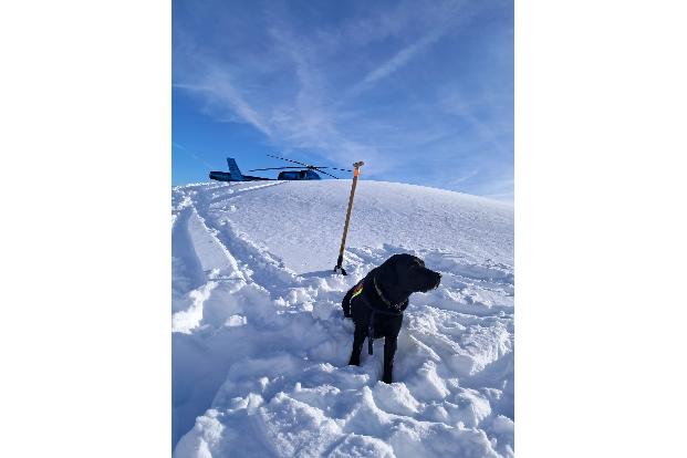 Auch Hunde waren nach dem Lawinenabgang am Finsterkopf im Einsatz. 