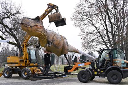 Dino am Haken: Die Nachbildung eines Tyrannosaurus Rex wird für die Ausstellung "Dino Lights" in Erfurt aufgebaut.
