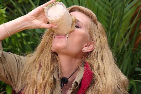 Tag 1 im Dschungelcamp