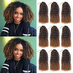DRS 9 Bündel / Lot 20,3 cm kurze Marlybob Häkelhaar, lockige Häkelzöpfe, Ombre Afro Kinky Curly Braiding Hair Synthetic Hair Extensions for African American Women (1B/27#) von 无