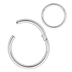 365 Sleepers Chirurgenstahl 0,8mm 1,0mm 1,2mm 1,6mm 2,0mm 2,5mm 3,0mm 4,0mm Segmentring Nasen Hoop Knorpelohrring Septum Klappbarer Daith Helix Tragus Piercing Schmuck von 365 Sleepers