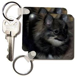 3dRose Wolf Zobel Pomeranian Ölgemälde - Schlüsselanhänger 5,7 cm Set von 2 Schlüsselanhänger 6 cm variiert von 3dRose