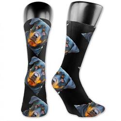 972 Socken Für Damen Rottweiler Socken Freizeit Strümpfe Lustige Socken Für Unisex Gegen Schweiß Laufsocken, Für Outdoor, Spazieren, Sport von 972