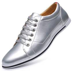 AARDIMI Herren Sneaker Casual Shoes Plus Size 38-50 PU Leather Sneakers Spring Autumn Lace Up Gold Silver Color Men Footwear(Hersteller-Größentabelle im Bild Beachten) (38, Silber) von AARDIMI