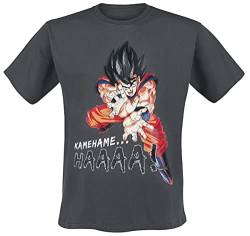 Dragon Ball Herren T-Shirt Kamehameha Son Goku grau Baumwolle - L von ABYSTYLE