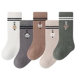 ACMEDE 5 Paar Baby Mädchen Kniehohe Lange Socken Neugeborenes 0-6 -12 Monate Kleinkind Baumwolle Kniestrümpfe Knielang Socken Kleinkind Baumwolle Stulpen1-3-5 Jahren. von ACMEDE